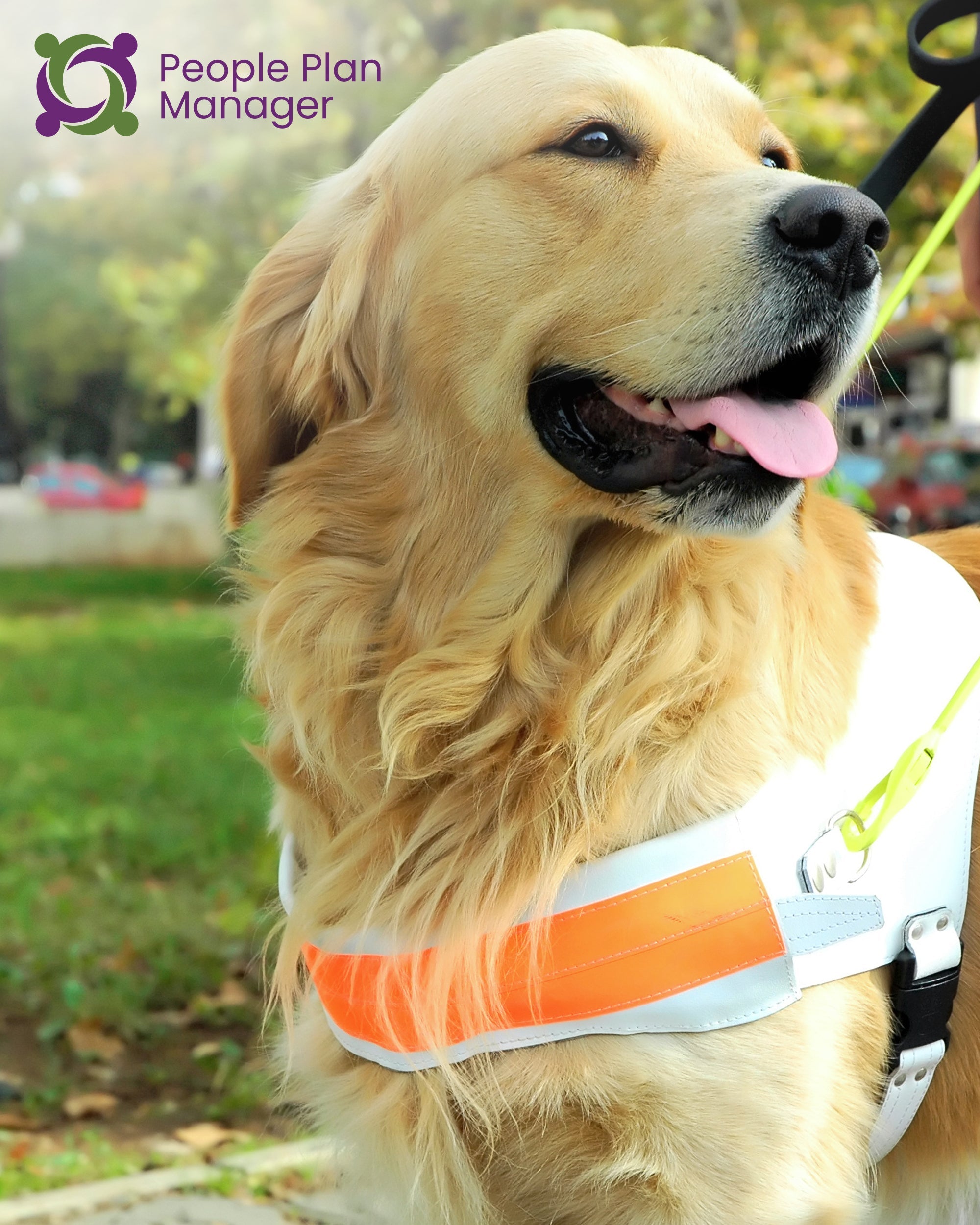 Assistance Dog (Including Dog Guide) | 05_900101111_0130_1_2