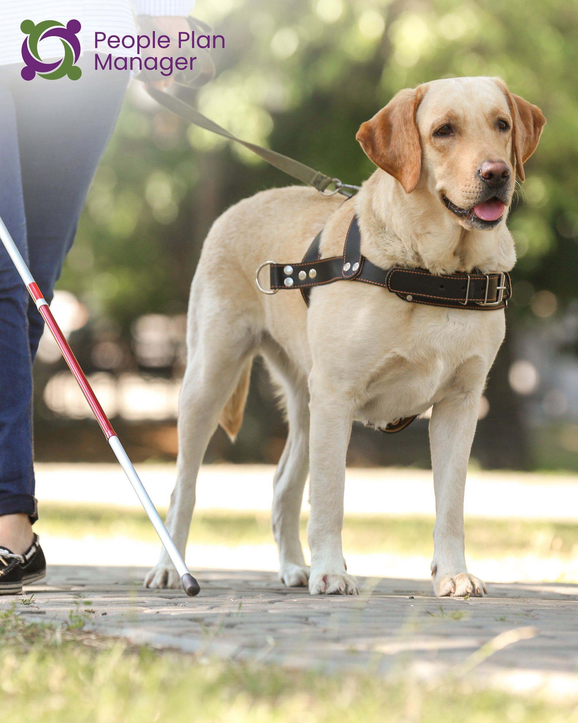 Assistance Dog (Including Guide Dog) Ongoing Costs | 03_900100155_0130_1_1