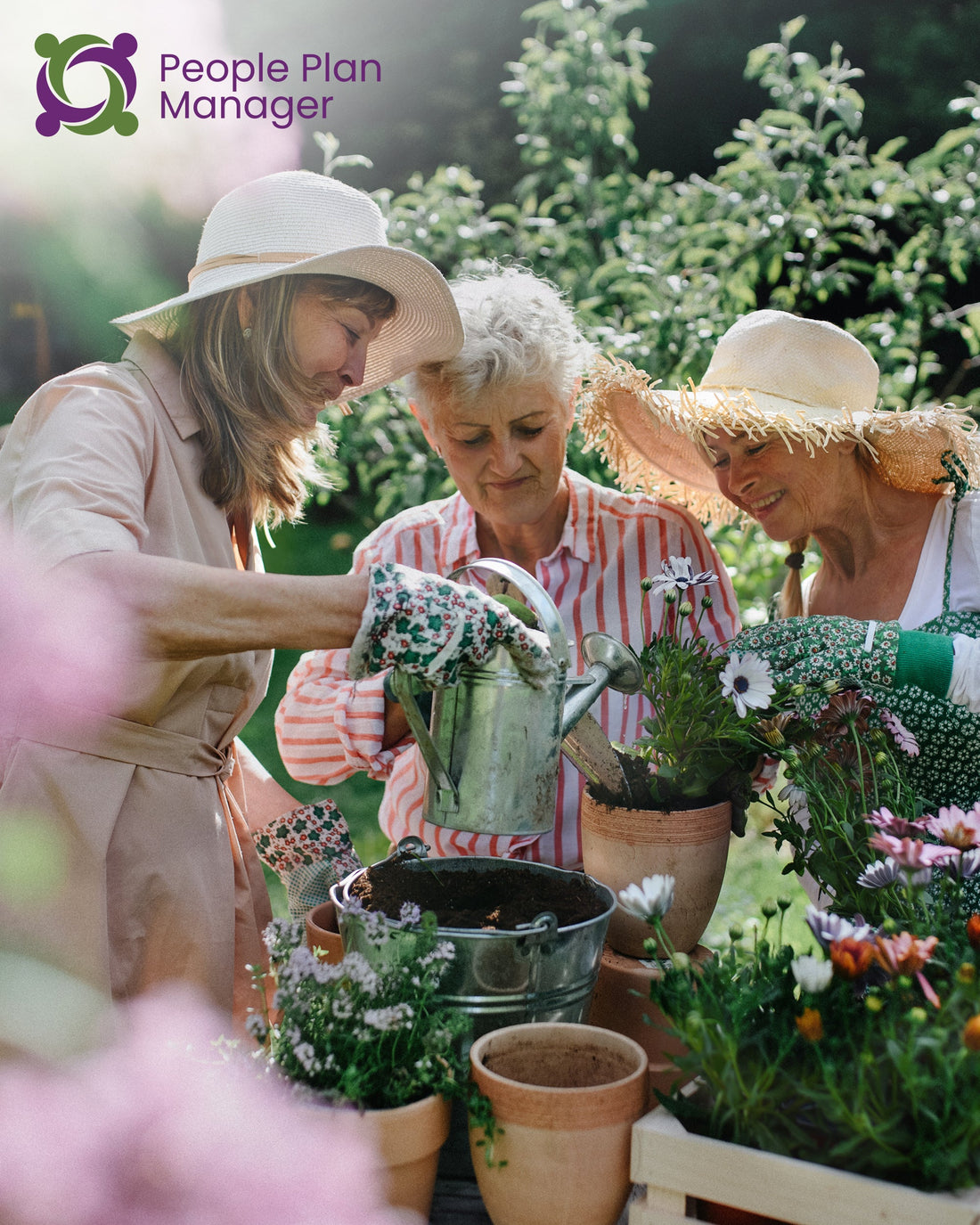 Group Activities In The Community - 1:5 - Standard - Public Holiday - TTP | 04_145_0136_6_1_T